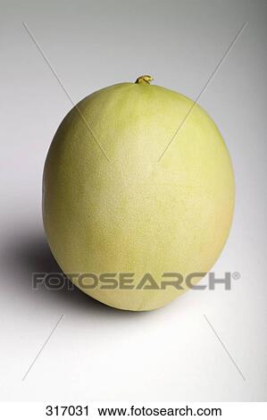 Stock Image - Honeydew melon. Fotosearch