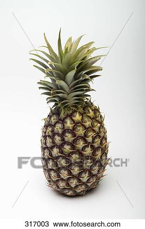 Stock Image - Pineapple. Fotosearch