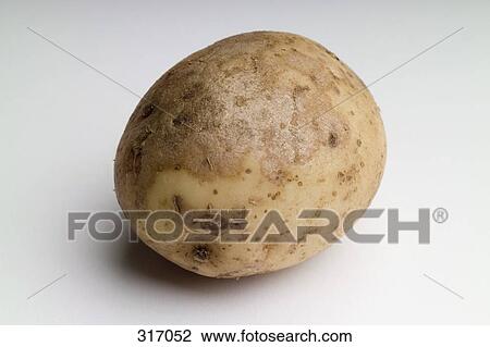 Stock Image - Potato. Fotosearch