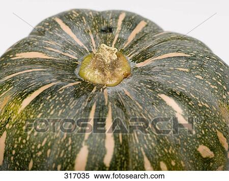 Stock Photography - Pumpkin. Fotosearch