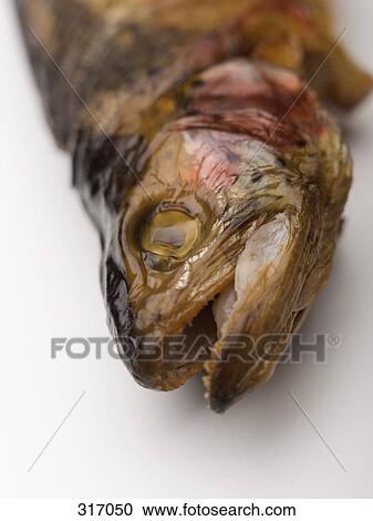 Stock Image - Smoked trout. Fotosearch