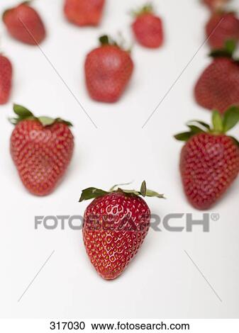 Strawberries View Large Photo Image Stock Image - Strawberries. Fotosearch