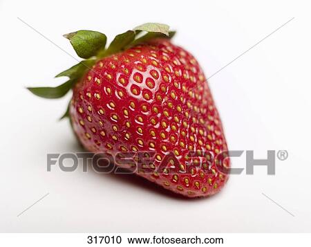 Strawberry View Large Photo Image Stock Image - Strawberry. Fotosearch