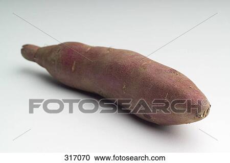 Sweet potato View Large Photo Image Stock Image - Sweet potato. Fotosearch
