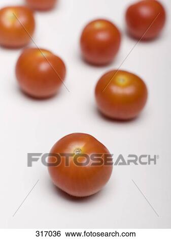 Stock Photograph - Tomatoes. Fotosearch