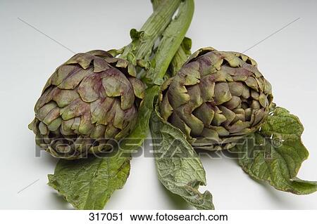 Stock Image - Two artichokes. Fotosearch