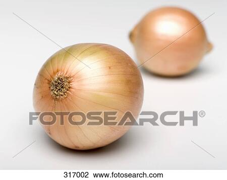 Stock Image - Two brown onions. Fotosearch