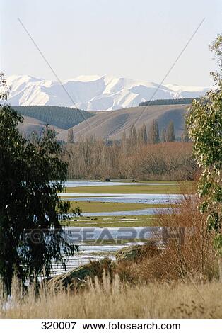 Mountains and wetlands in New Zealand, South Island View Large Photo Image Stock Photo - Mountains and wetlands in New Zealand, South Island. Fotosearch