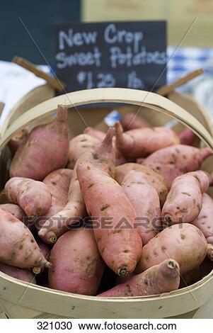 Basket of sweet potatoes View Large Photo Image Stock Image - Basket of sweet potatoes. Fotosearch
