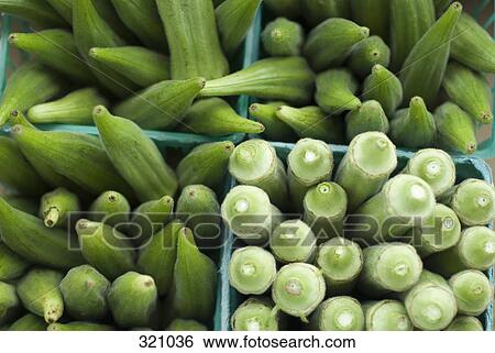 Cartons of okra View Large Photo Image Stock Photograph - Cartons of okra. Fotosearch
