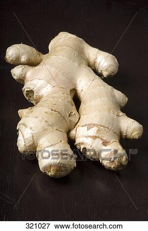 Ginger View Large Photo Image Stock Photo - Ginger. Fotosearch