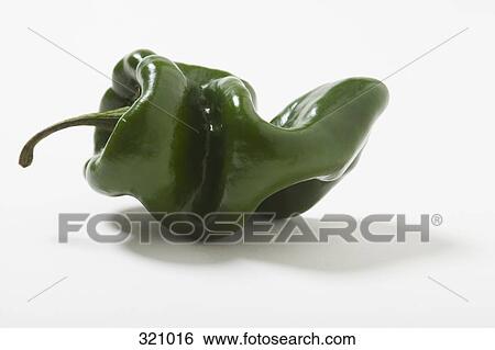 Green Poblano Pepper View Large Photo Image Stock Photograph - Green Poblano Pepper. Fotosearch