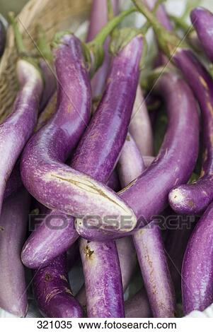 Japanese eggplants View Large Photo Image Stock Photography - Japanese eggplants. Fotosearch