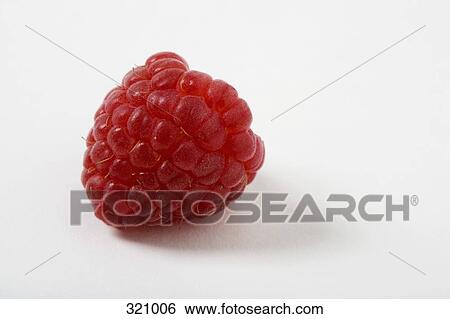 Raspberry View Large Photo Image Stock Photograph - Raspberry. Fotosearch