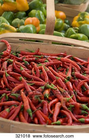 Red chili peppers and green bell peppers View Large Photo Image Stock Photo - Red chili peppers and green bell peppers. Fotosearch