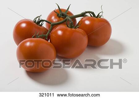 Stock Image - Vine tomatoes. Fotosearch