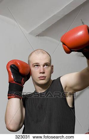 Young male boxer standing with fists raised View Large Photo Image Stock Image - Young male boxer standing with fists raised. Fotosearch