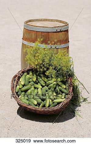 Stock Photo - Basket of cucumbers and fennel in front of wooden barrel. Fotosearch