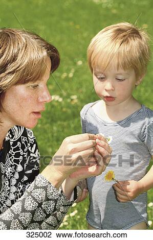 Mother and son making daisy chain View Large Photo Image Stock Image - Mother and son making daisy chain. Fotosearch