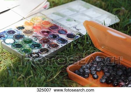 Watercolor paints and container of blueberries on grass View Large Photo Image Stock Photo - Watercolor paints and container of blueberries on grass. Fotosearch