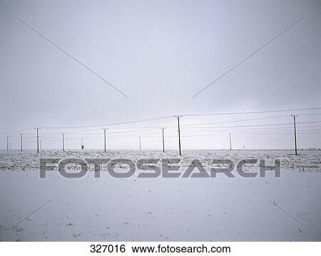Stock Photograph - Telephone poles and electricity cables in field of snow. Fotosearch