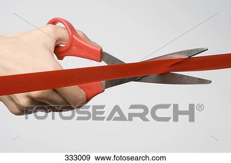 Person cutting red ribbon with scissors View Large Photo Image Stock Photo - Person cutting red ribbon with scissors. Fotosearch