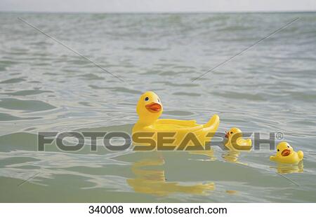 Three rubber ducks floating in sea View Large Photo Image Stock Photo - Three rubber ducks floating in sea. Fotosearch