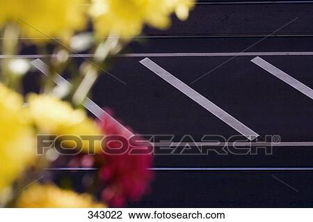 Flowers in window box and road markings on city street below View Large Photo Image Stock Image - Flowers in window box and road markings on city street below. Fotosearch