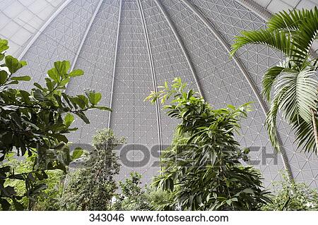 Lush foliage of landscaped gardens at tropical theme park View Large Photo Image Stock Photograph - Lush foliage of landscaped gardens at tropical theme park. Fotosearch