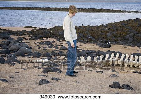 Stock Image - Young man standing on beach next to a whale bone, Iceland. Fotosearch