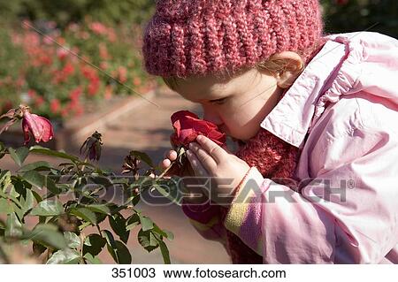 Stock Image - Girl smelling rose. Fotosearch