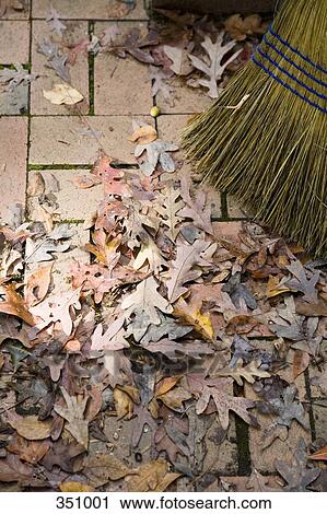 Sweeping dried leaves in autumn View Large Photo Image Stock Image - Sweeping dried leaves in autumn. Fotosearch