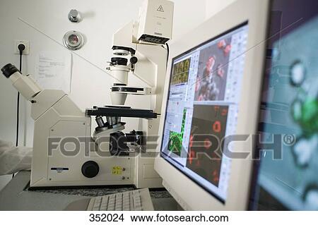 Computer aided microscope in a laboratory View Large Photo Image Picture - Computer aided microscope in a laboratory. Fotosearch