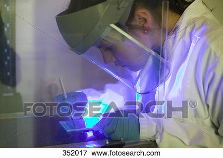 Scientist using scalpel and ultraviolet light for DNA isolation View Large Photo Image Stock Photo - Scientist using scalpel and ultraviolet light for DNA isolation. Fotosearch