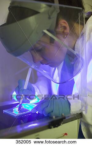 Scientist using scalpel and ultraviolet light for DNA isolation View Large Photo Image Stock Photography - Scientist using scalpel and ultraviolet light for DNA isolation. Fotosearch
