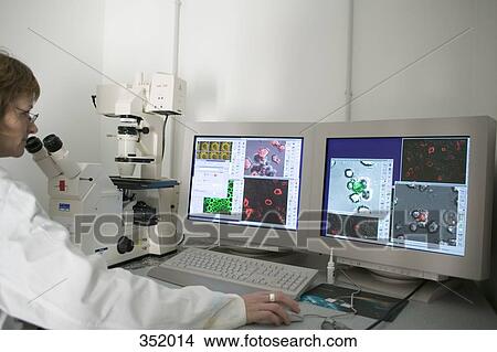 Technician using computer aided microscope in a laboratory View Large Photo Image Picture - Technician using computer aided microscope in a laboratory. Fotosearch