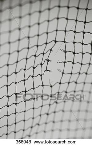 Hole in netting View Large Photo Image Stock Photo - Hole in netting. Fotosearch