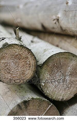 Pile of logs View Large Photo Image Stock Image - Pile of logs. Fotosearch
