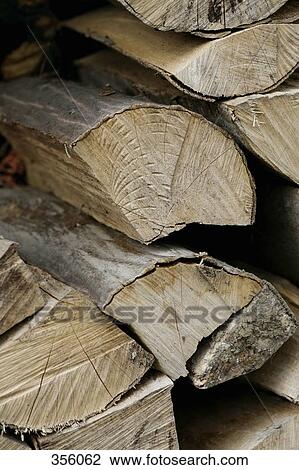 Stock Image - Stack of logs. Fotosearch