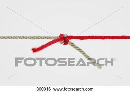 Two stands of wool tied together View Large Photo Image Stock Photograph - Two stands of wool tied together. Fotosearch