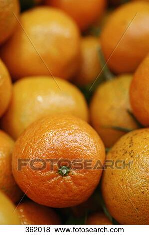 Pile of oranges View Large Photo Image Stock Photo - Pile of oranges. Fotosearch