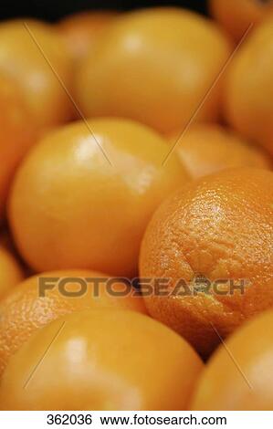 Pile of oranges View Large Photo Image Stock Photograph - Pile of oranges. Fotosearch