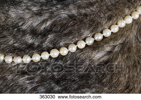 String of pearls on fur View Large Photo Image Stock Image - String of pearls on fur. Fotosearch