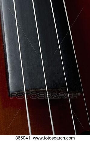Detail of a cello View Large Photo Image Stock Image - Detail of a cello. Fotosearch