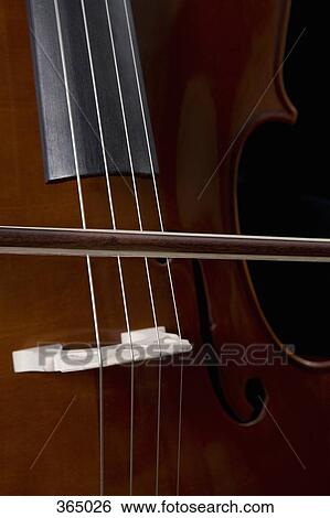 Detail of a musician playing the cello View Large Photo Image Stock Photograph - Detail of a musician playing the cello. Fotosearch