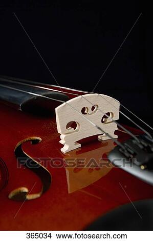 Detail of a violin View Large Photo Image Picture - Detail of a violin. Fotosearch