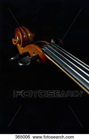 Violin scroll and neck View Large Photo Image Stock Photograph - Violin scroll and neck. Fotosearch