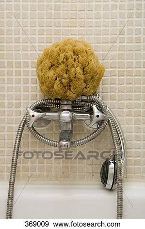 Bath sponge and shower head on faucet View Large Photo Image Stock Photo - Bath sponge and shower head on faucet. Fotosearch