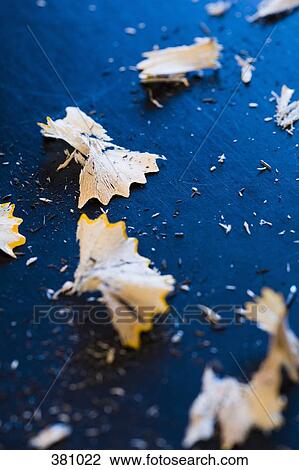 Pencil sharpenings on a desk View Large Photo Image Stock Image - Pencil sharpenings on a desk. Fotosearch