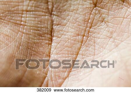 Close-up of palm of hand View Large Photo Image Stock Photo - Close-up of palm of hand. Fotosearch